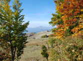 Parco Nazionale del Pollino Parco Nazionale del Pollino