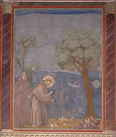 De heilige San Francesco De heilige San Francesco