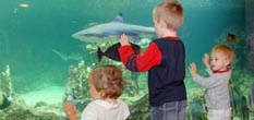 Het Acquario di Genova